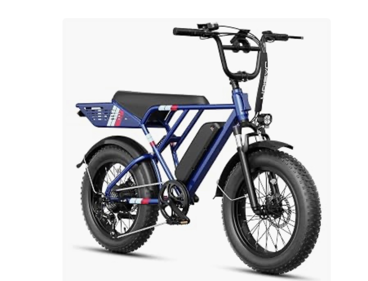 Jasion Retrovolt passenger bike on a white background